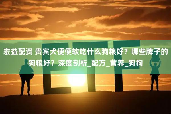宏益配资 贵宾犬便便软吃什么狗粮好？哪些牌子的狗粮好？深度剖析_配方_营养_狗狗