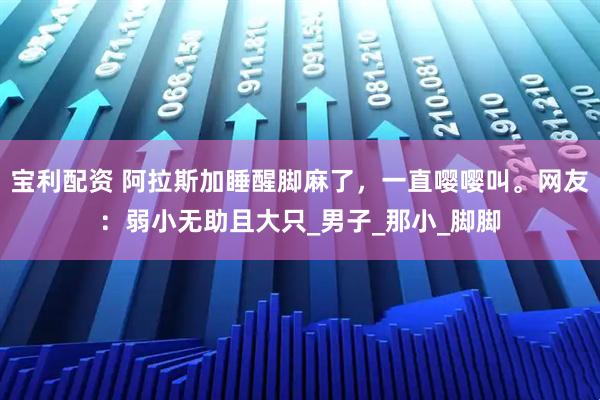 宝利配资 阿拉斯加睡醒脚麻了，一直嘤嘤叫。网友：弱小无助且大只_男子_那小_脚脚