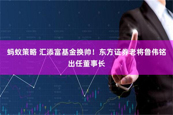 蚂蚁策略 汇添富基金换帅！东方证券老将鲁伟铭出任董事长