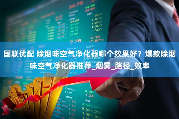 国联优配 除烟味空气净化器哪个效果好？爆款除烟味空气净化器推荐_烟雾_路径_效率