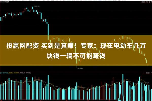 投赢网配资 买到是真赚！专家：现在电动车几万块钱一辆不可能赚钱
